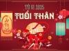 Tử Vi Tuổi Thân 2025: Chi Tiết Vận Hạn, May Mắn