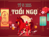 Tử Vi Tuổi Ngọ 2025 Ất Tỵ: Chi tiết Vận Hạn & Tài Lộc