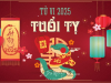 Tử Vi Tuổi Tỵ 2025 Ất Tỵ: Vận Hạn Và Tài Lộc
