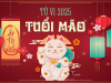 Tử Vi Tuổi Mão Năm 2025: Chi Tiết Vận Hạn Và Ảnh Hưởng Tam Tai