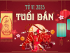 Tử Vi Tuổi Dần 2025 (Ất Tỵ): Vượt Hạn Thái Tuế, Đón Vận May