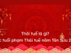 CÁCH HOÁ GIẢI THÁI TUẾ