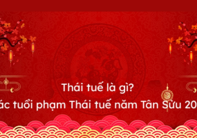 CÁCH HOÁ GIẢI THÁI TUẾ
