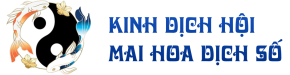 KINH DỊCH HỘI MAI HOA DỊCH SỐ